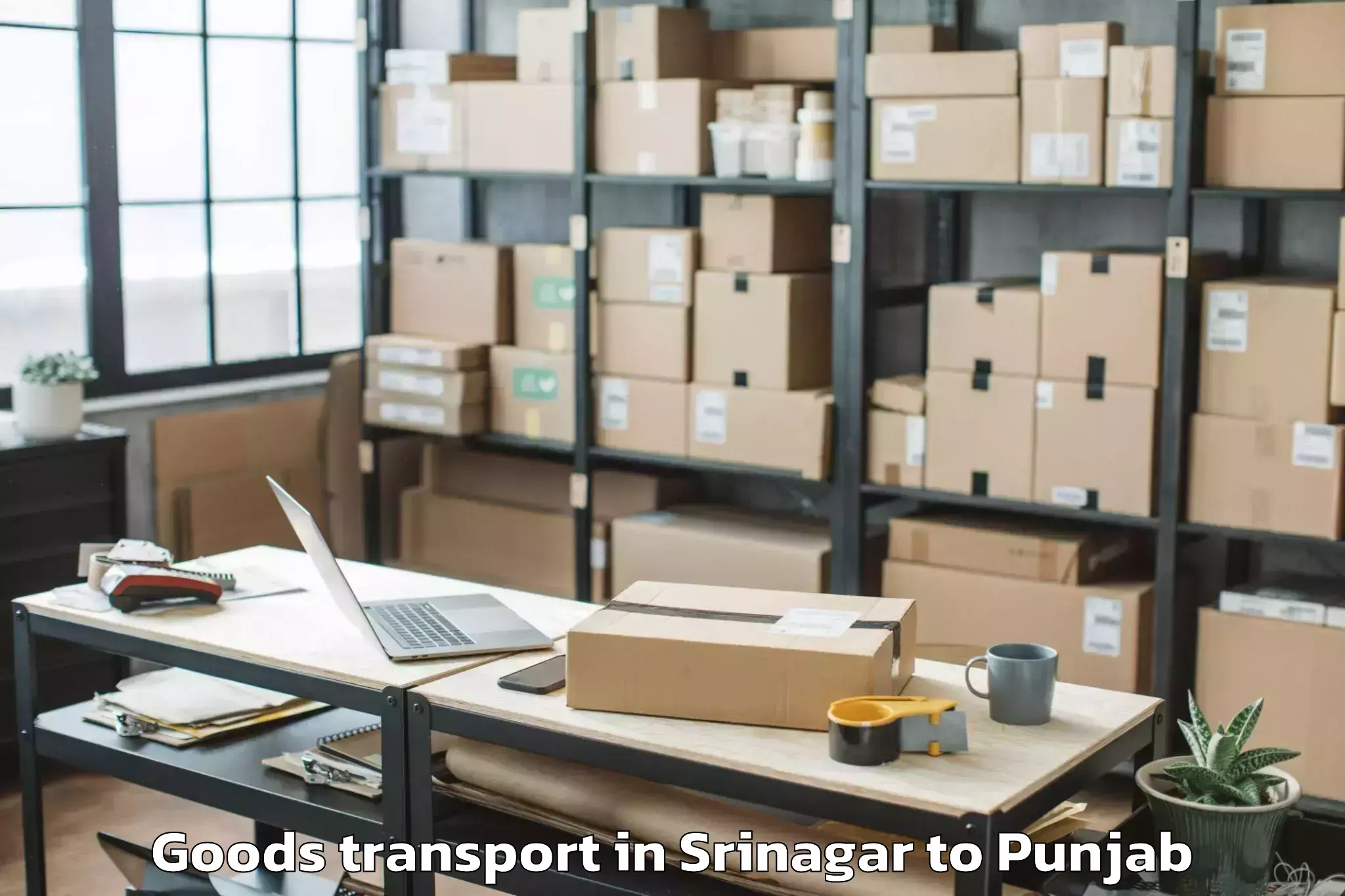 Hassle-Free Srinagar to Vr Punjab Mall Goods Transport